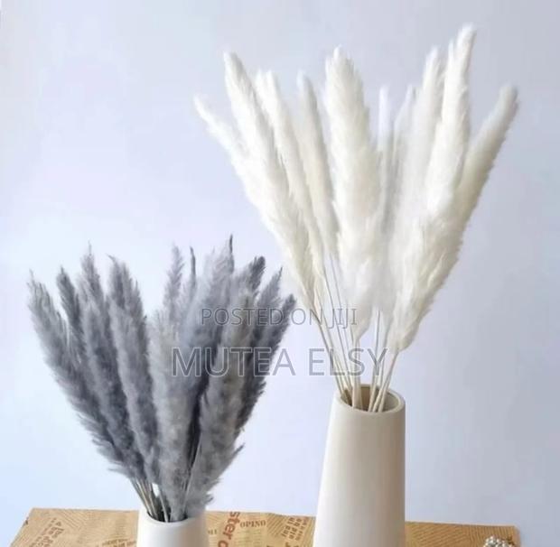 Grey White 10pcs Natural Dried Flowers Pampas Phragmites Rabbit Tail - main view