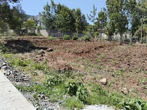Quarter Acre Red Soil Plot for Sale in Kerarapon Drive, Ngong