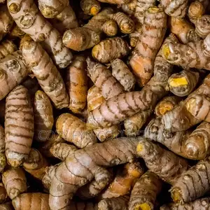 Tumeric Fresh From the Farm