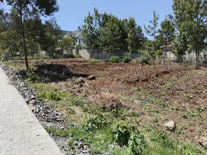 Quarter Acre Red Soil Plot for Sale in Kerarapon Drive, Ngong