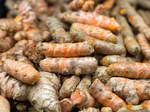 Tumeric Fresh From the Farm