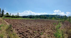 2.5 Acres for Sale in Limuru