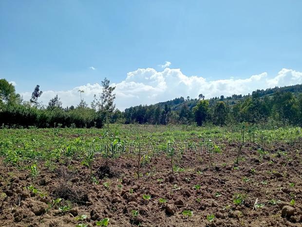 2.5 Acres for Sale in Limuru - thumbnail 3