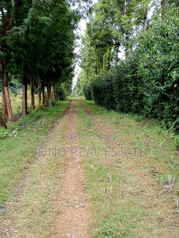 2.5 Acres for Sale in Limuru - thumbnail 4