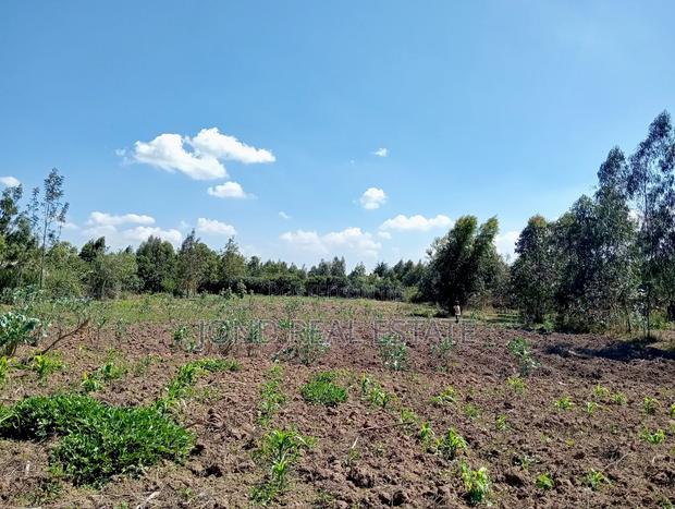 2.5 Acres for Sale in Limuru - thumbnail 6