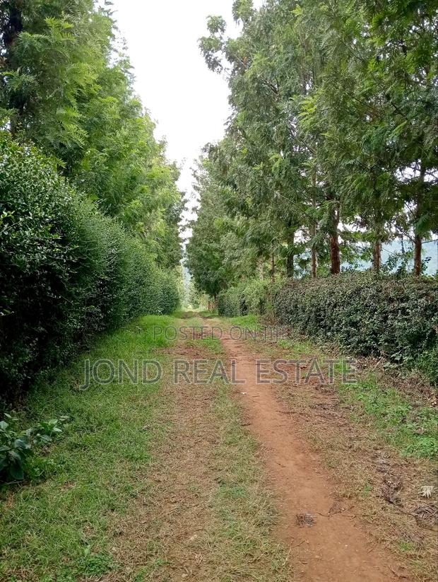 2.5 Acres for Sale in Limuru - thumbnail 7