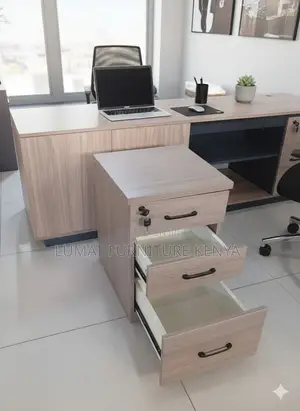 Mobiluxe Organizer