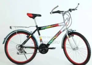 Victory Size 24" Bike