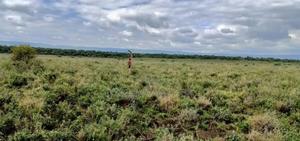 2 Acres Of Land (Sold As A Block) - thumbnail 2