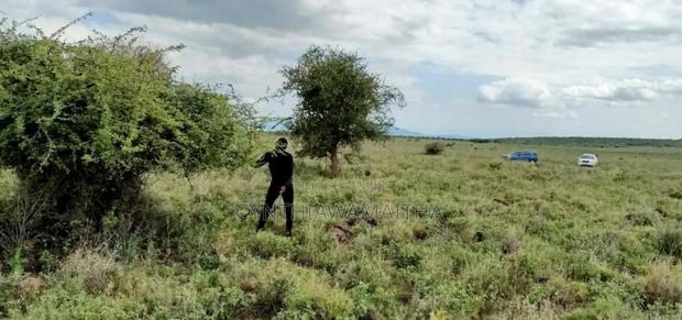 2 Acres Of Land (Sold As A Block) - thumbnail 4