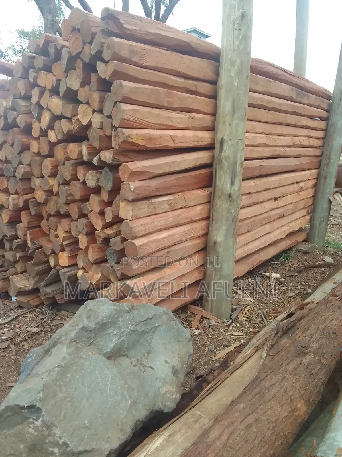 Cedar Poles