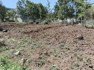 Eighth Acre Plot for Sale in Kerarapon Drive. Red Soil, Near Tarmac