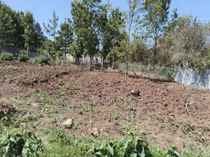 Eighth Acre Plot for Sale in Kerarapon Drive. Red Soil, Near Tarmac