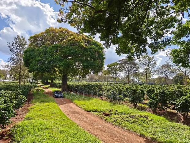 Manor Park Kiambu - thumbnail 3