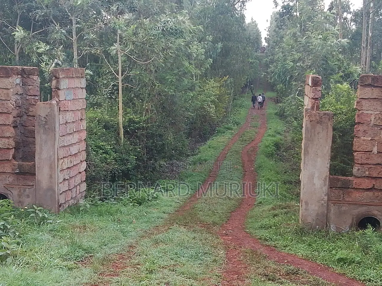 5acres in Muranga, Gatanga, Kigio on Sale