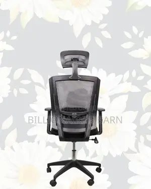 Breathable Mesh Chair For Long Hours | Ideal For Students Creatives