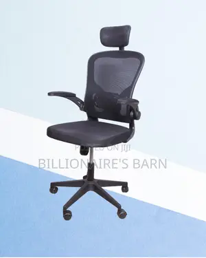 Premium | Ergonomic Office Backrest | Perfect for Home Office