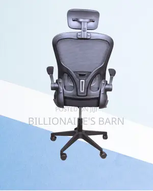 Premium | Ergonomic Office Backrest | Perfect for Home Office
