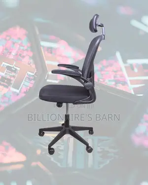 Home Office Supportive Chair Padded | | Order Yours Today