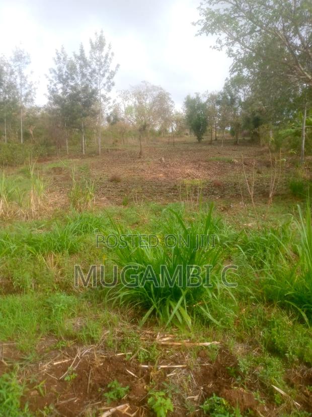 Land 1/2 Acre - main view