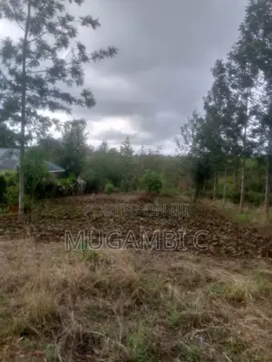 Land 1/2 Acre