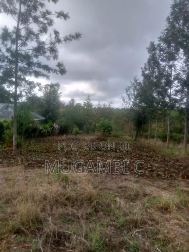 Land 1/2 Acre - thumbnail 3