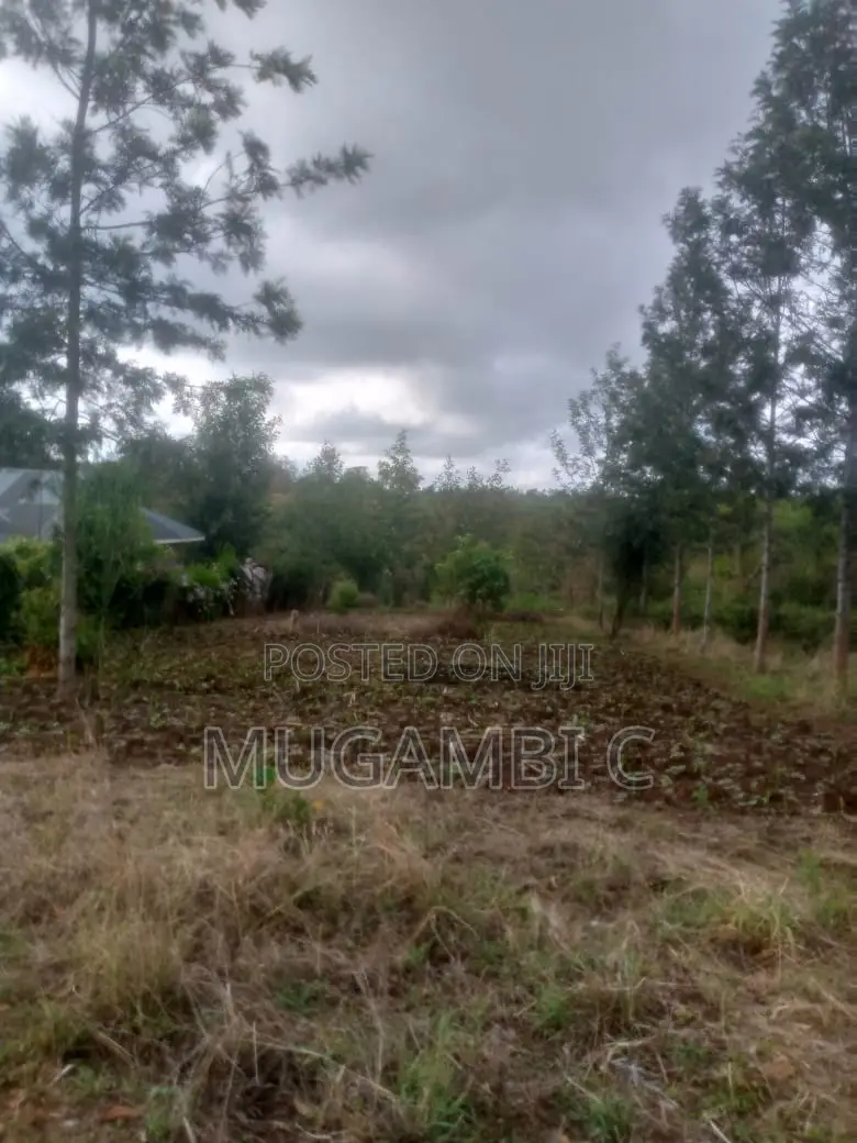 Land 1/2 Acre