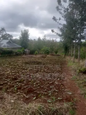 Land 1/2 Acre