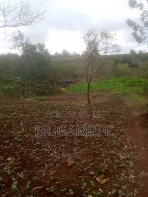 Land 1/2 Acre