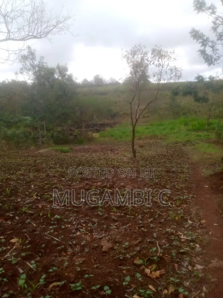 Land 1/2 Acre