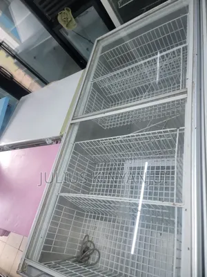 Commercial See Through Deep Freezer