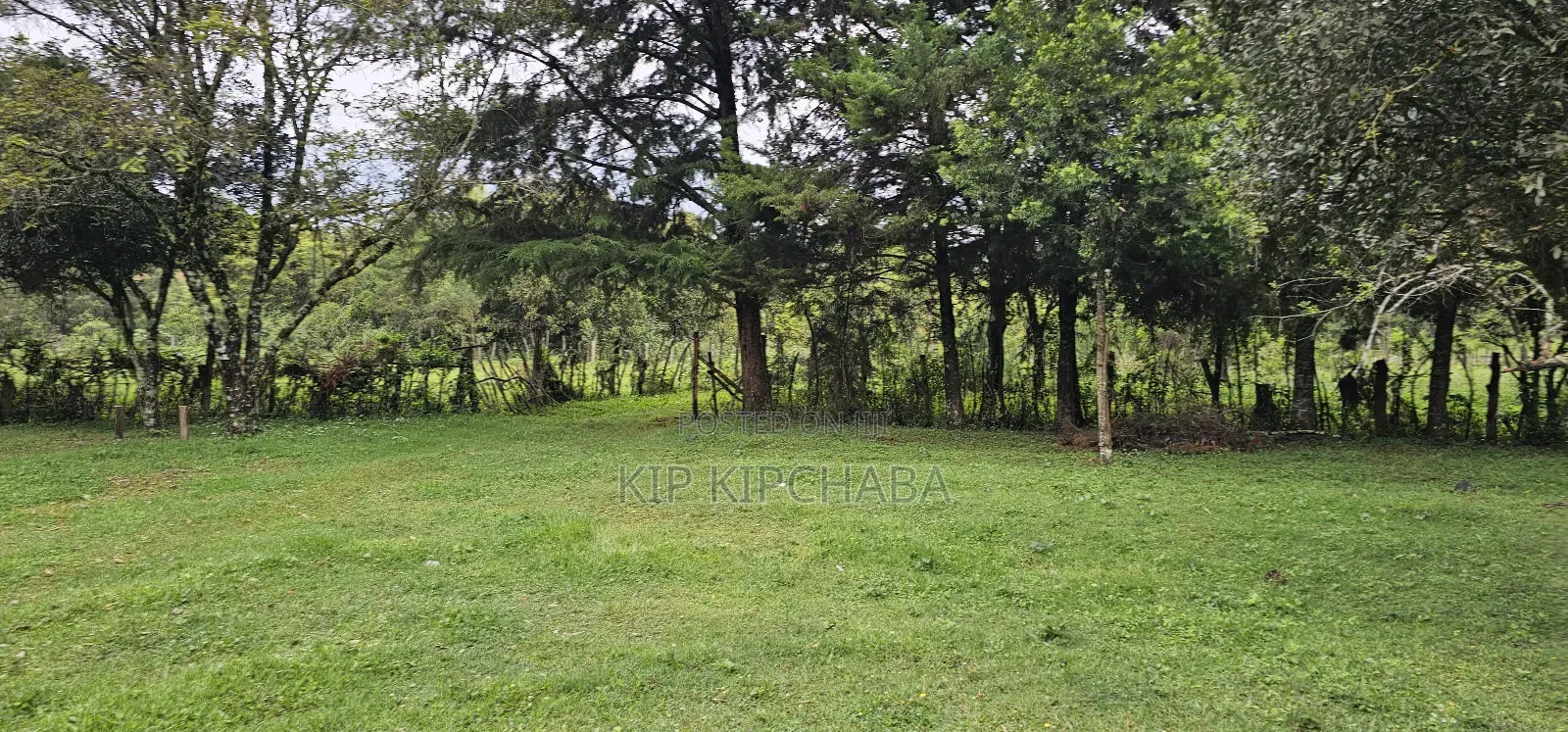 3bdrm Farm House in Mlango, Kapseret for sale