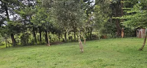 3bdrm Farm House in Mlango, Kapseret for sale