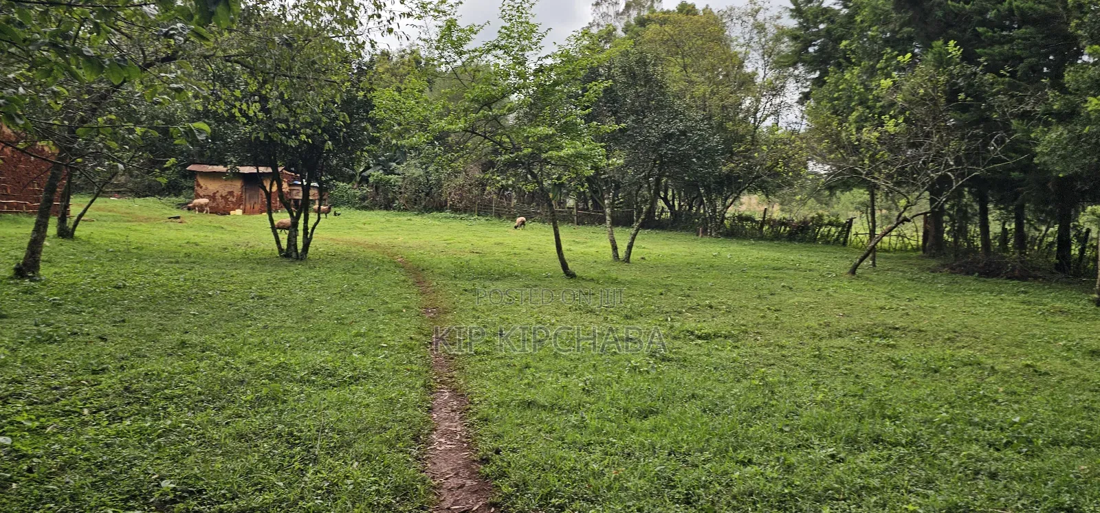 3bdrm Farm House in Mlango, Kapseret for sale