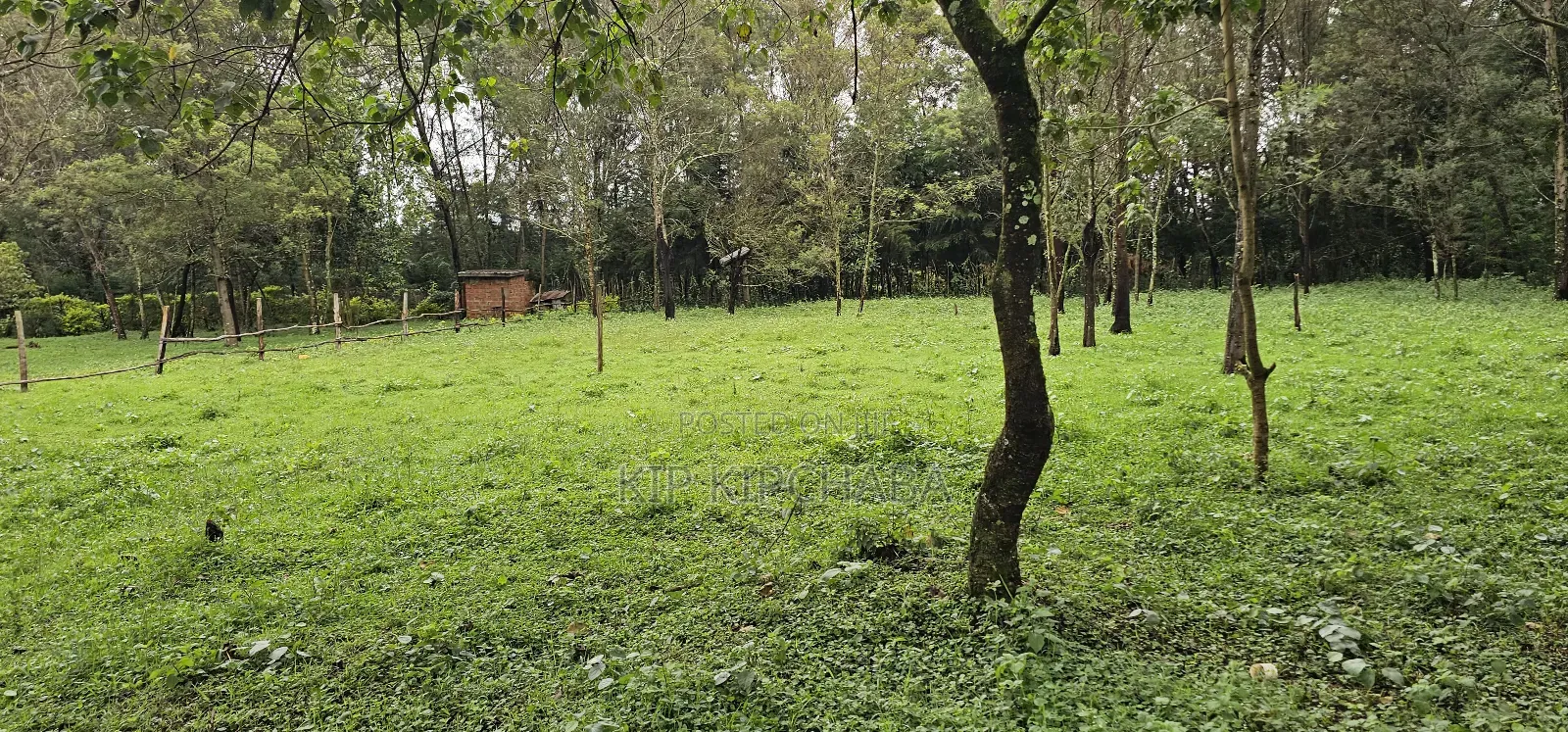 3bdrm Farm House in Mlango, Kapseret for sale