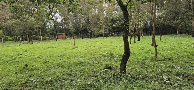 3bdrm Farm House in Mlango, Kapseret for sale - thumbnail 7