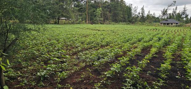 3bdrm Farm House in Mlango, Kapseret for sale - thumbnail 8