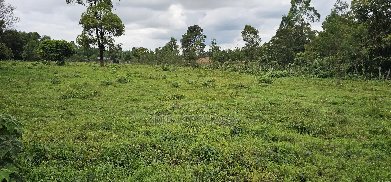 3bdrm Farm House in Mlango, Kapseret for sale