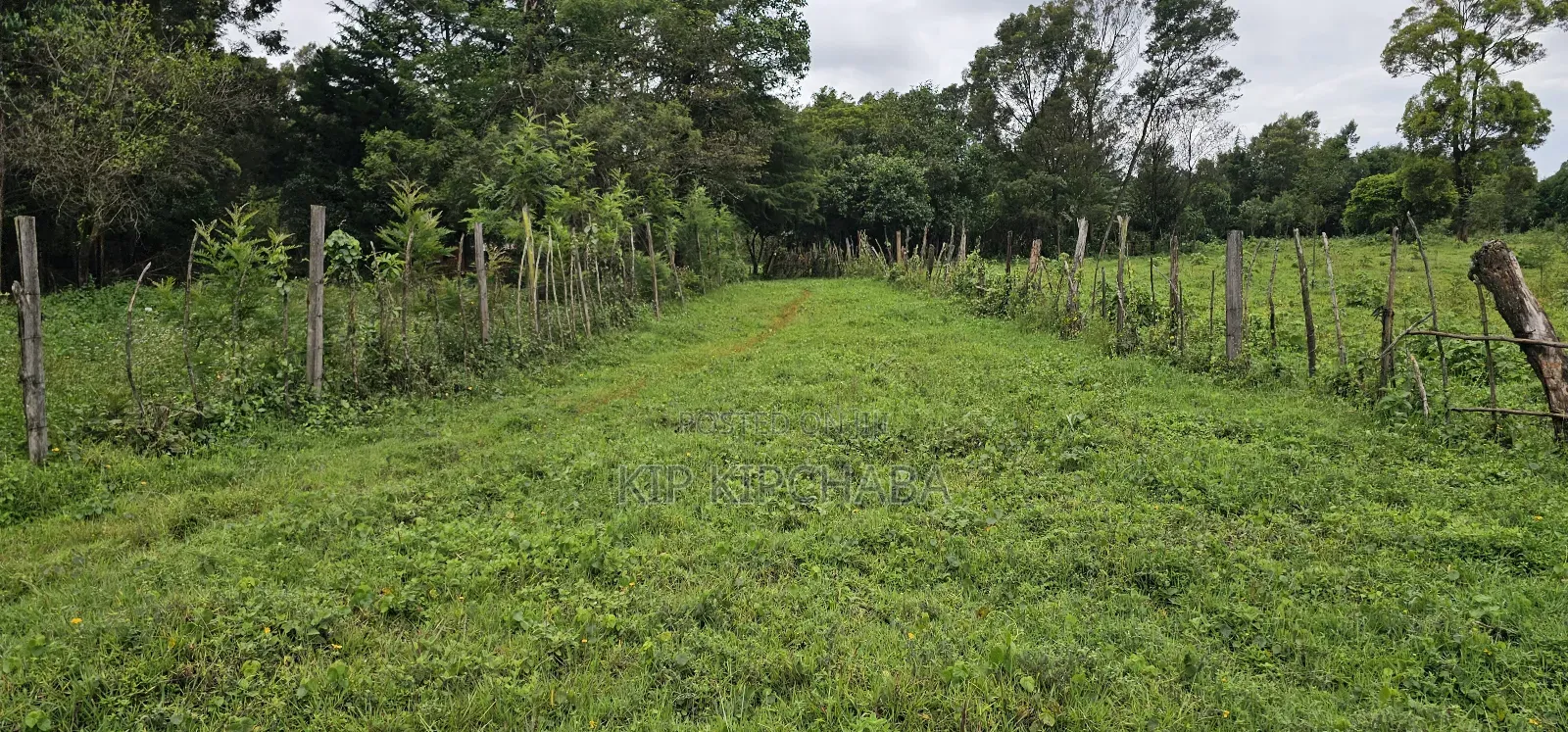 3bdrm Farm House in Mlango, Kapseret for sale