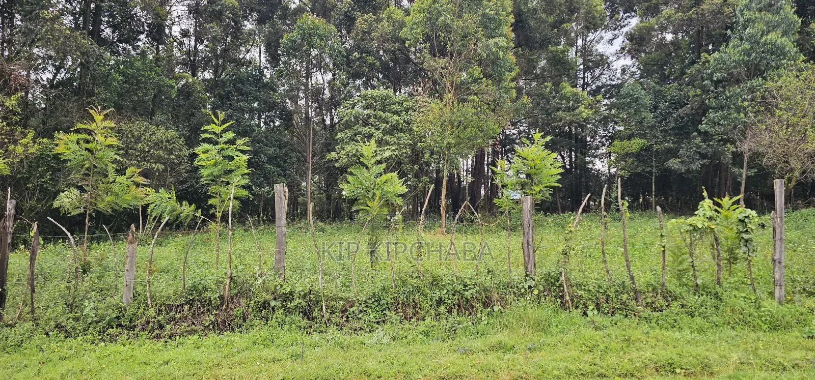 3bdrm Farm House in Mlango, Kapseret for sale