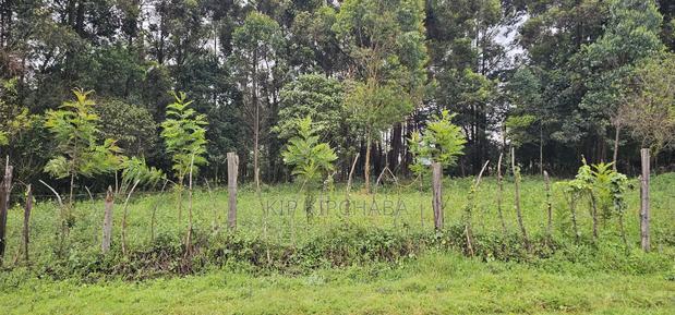 3bdrm Farm House in Mlango, Kapseret for sale - thumbnail 15