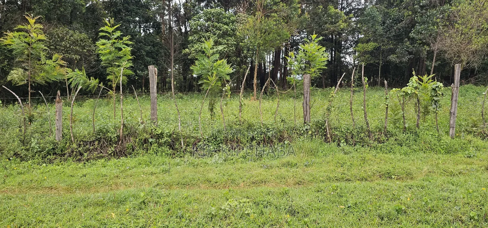 3bdrm Farm House in Mlango, Kapseret for sale