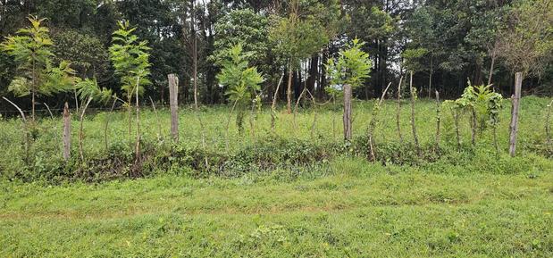 3bdrm Farm House in Mlango, Kapseret for sale - thumbnail 16