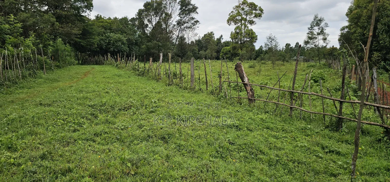 3bdrm Farm House in Mlango, Kapseret for sale