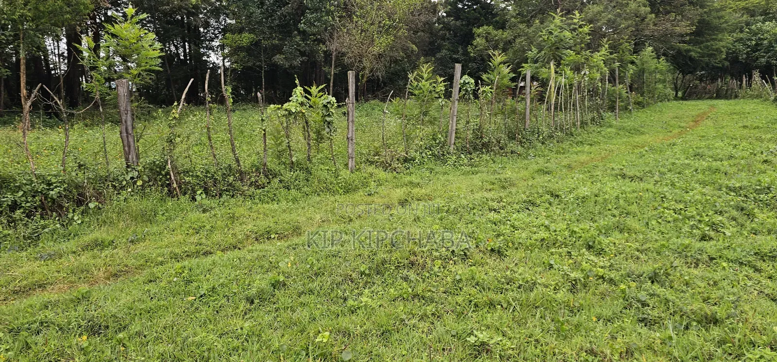 3bdrm Farm House in Mlango, Kapseret for sale