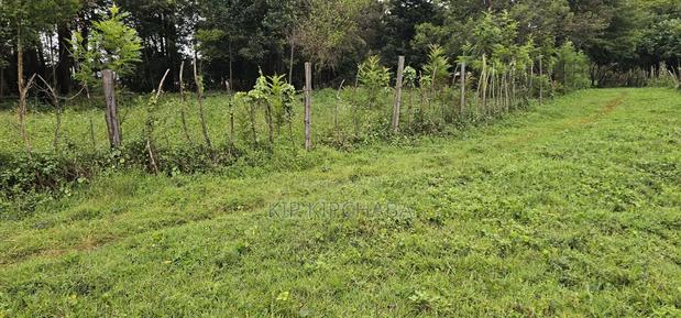 3bdrm Farm House in Mlango, Kapseret for sale - thumbnail 18