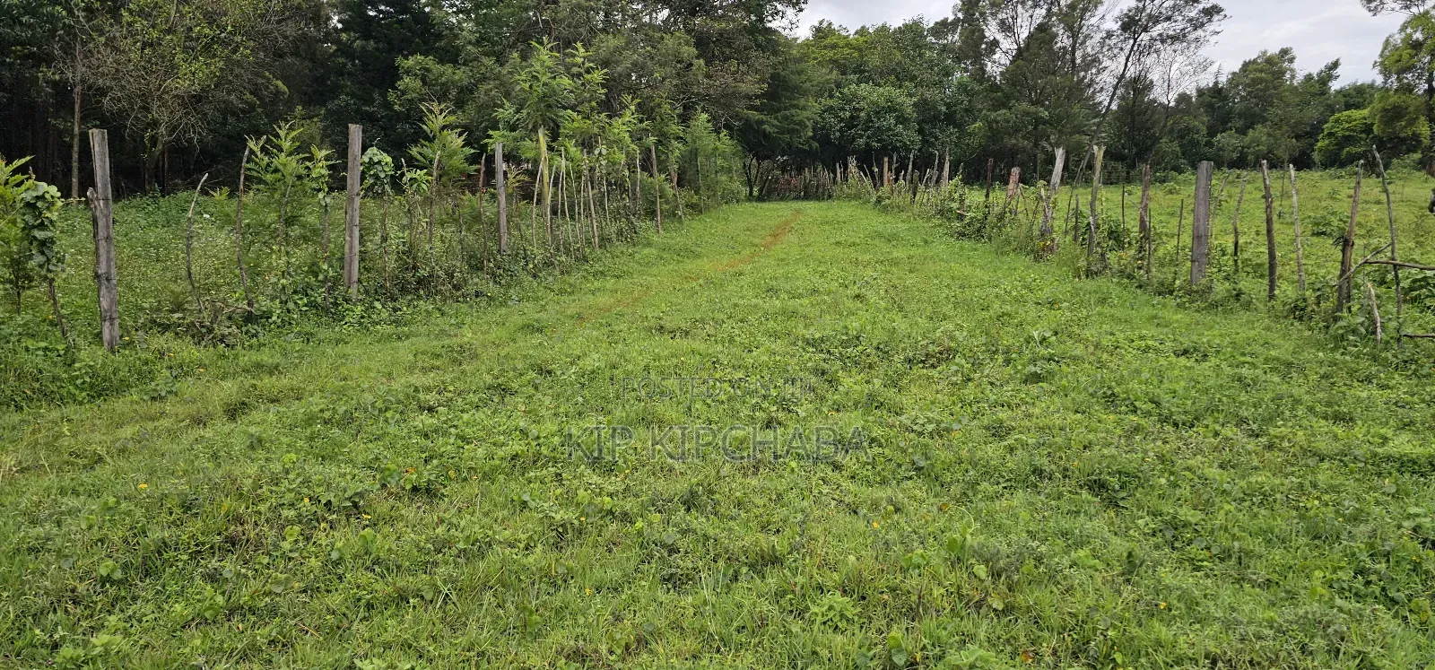 3bdrm Farm House in Mlango, Kapseret for sale