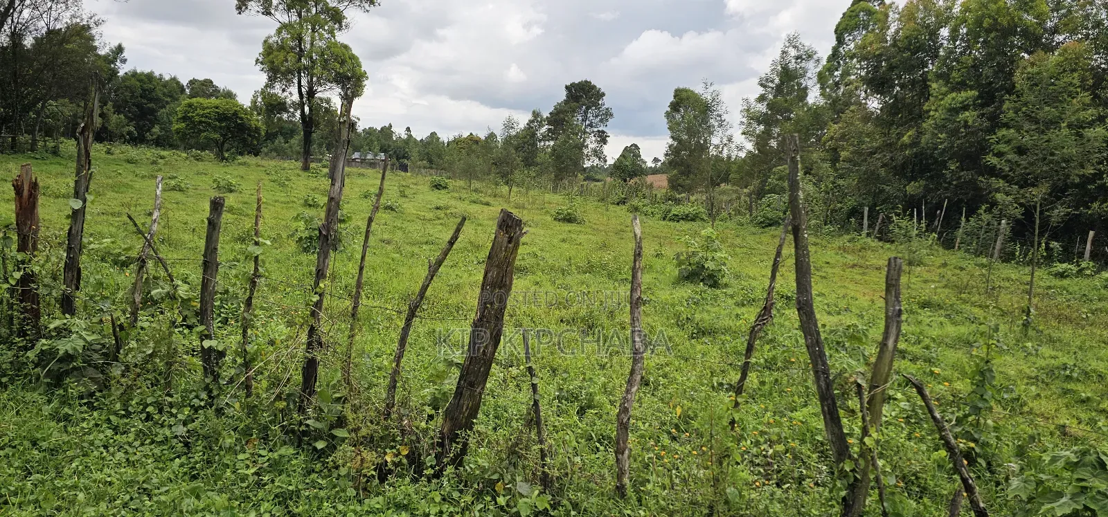 3bdrm Farm House in Mlango, Kapseret for sale
