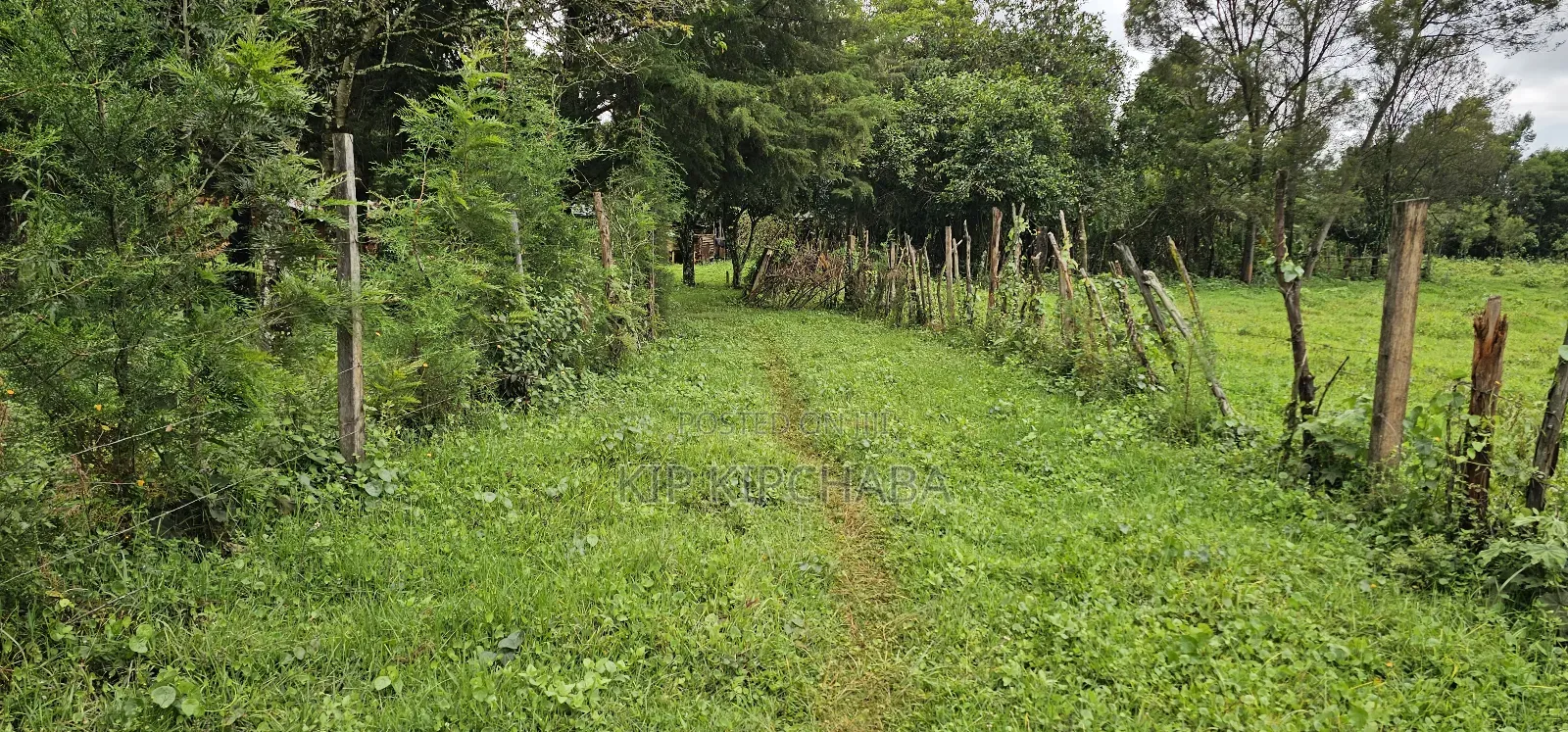 3bdrm Farm House in Mlango, Kapseret for sale