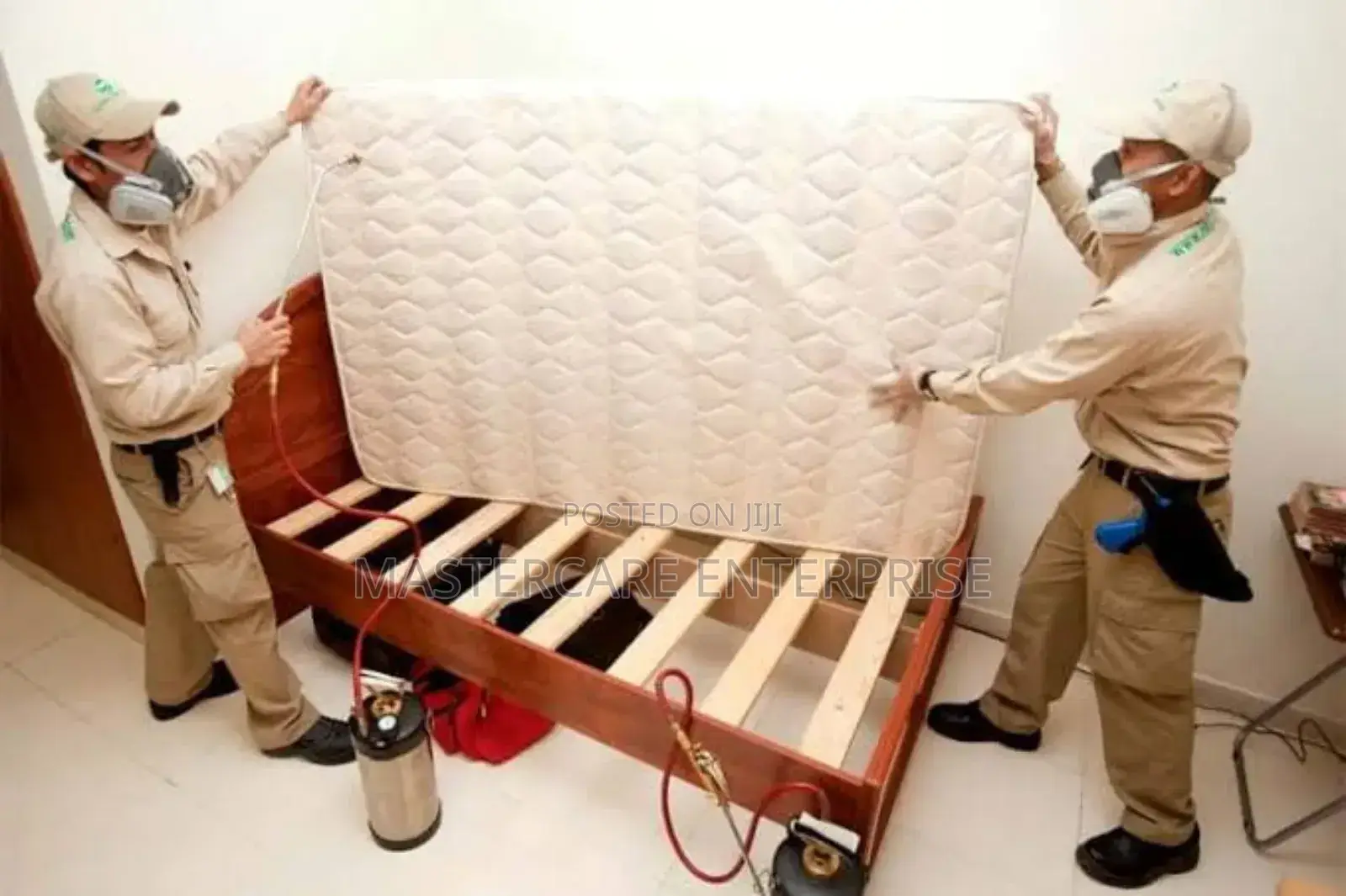 Bed Bugs Exterminator Professional